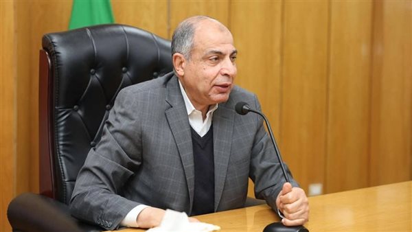 محافظ المنيا