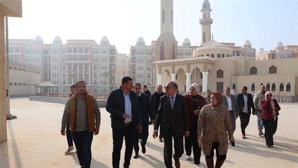 محافظ المنيا