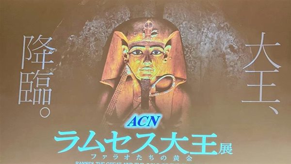 تجهيزات معرض رمسيس