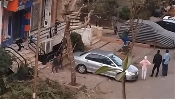 جانب من قطع الأشجار