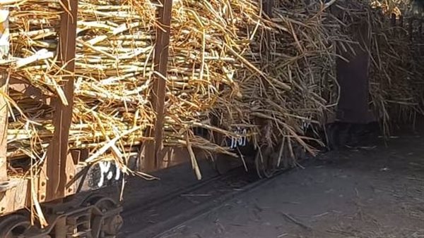 قطار قصب - تعبيرية