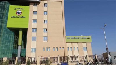 مصرع وإصابة 3 أشخاص في حادث تصادم سيارة وتوكتوك بالطريق الصحراوي الغربي بإسنا