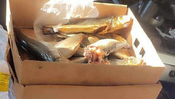 الرنجة المضبوطة 