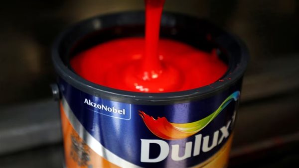 شركة أكزونوبل للدهانات