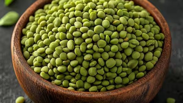 العدس الأخضر