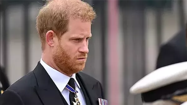 الأمير هاري