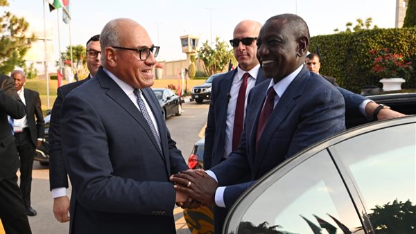 جانب من الاستقبال