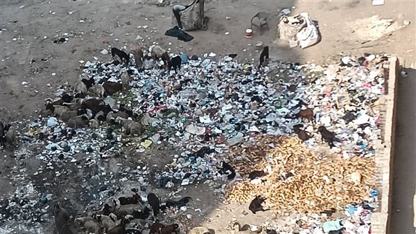 سكان العمرانية يستغيثون