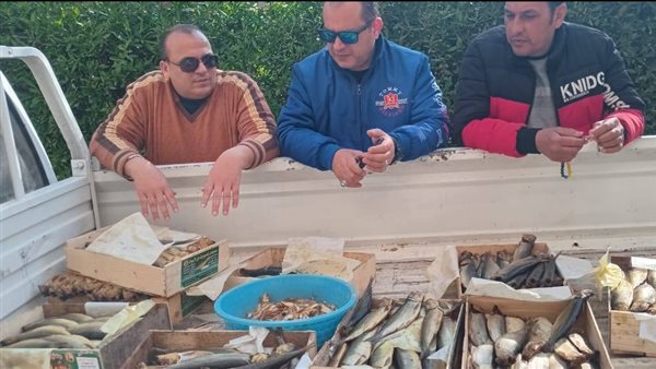 جانب من الحملة 