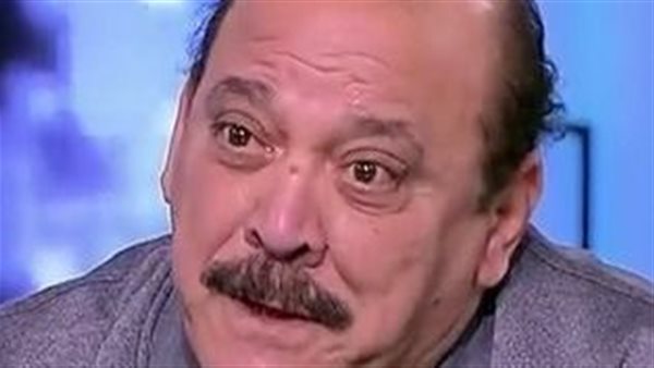 ضياء الميرغني