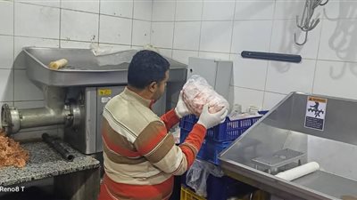 ضبط 10.5 طن أسماك فاسدة ومصنعات لحوم وهياكل فاسدة بالجيزة