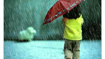 ما حكم الصلاة في البيوت حال سقوط المطر؟.. الإفتاء تبين رأي الشرع