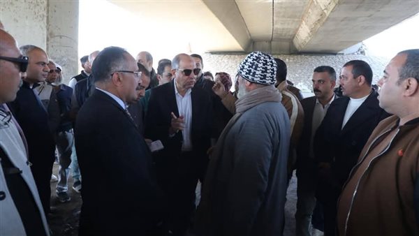 محافظ المنيا