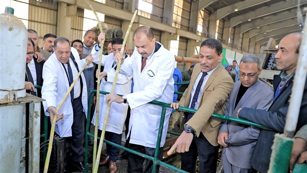 محافظ سوهاج