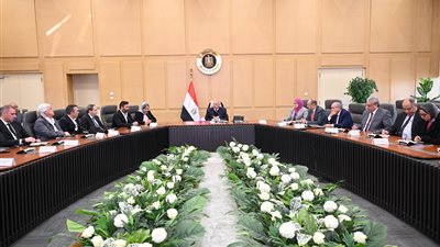 وزير الصناعة يبحث مع وفد من 9 شركات تركية التوسع في مصر