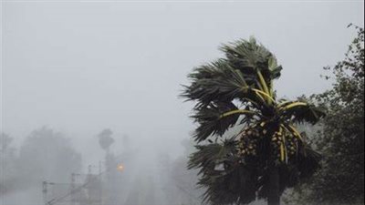 هل تشهد البلاد عواصف خلال الأيام المقبلة؟.. الأرصاد توضح 