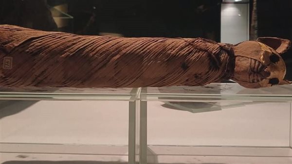 القطة باستت 