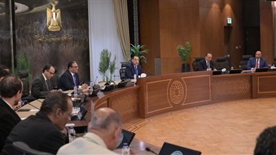 وزير الكهرباء يستعرض جهود تحسين كفاءة الطاقة الكهربائية