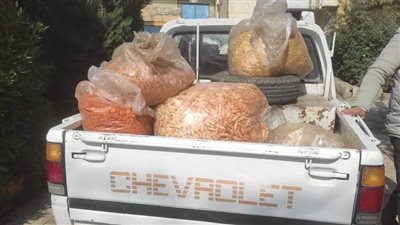 تحرير 15 مخالفة تموينية متنوعة وضبط سلع منتهية الصلاحية في حملة ببني سويف 