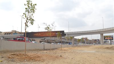 بدء تكويد جميع الأشجار المزروعة في نطاق الدائري بالقاهرة والجيزة