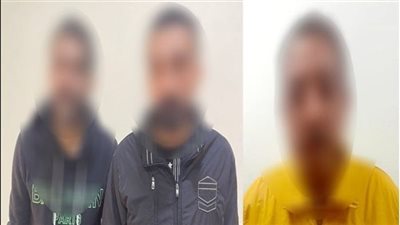 التحقيق مع المتهمين بالاعتداء على شاب باستخدام كلب في بورسعيد