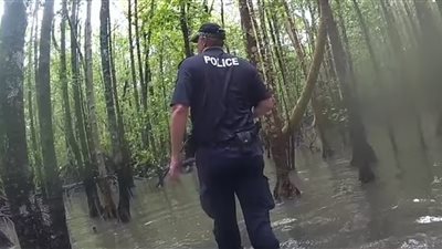 العثور على بقايا بشرية داخل معدة تمساح مفترس في أستراليا.. ما القصة؟