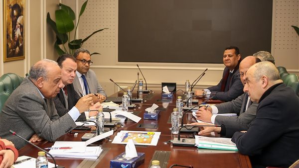 وزيرا الكهرباء والطاقة