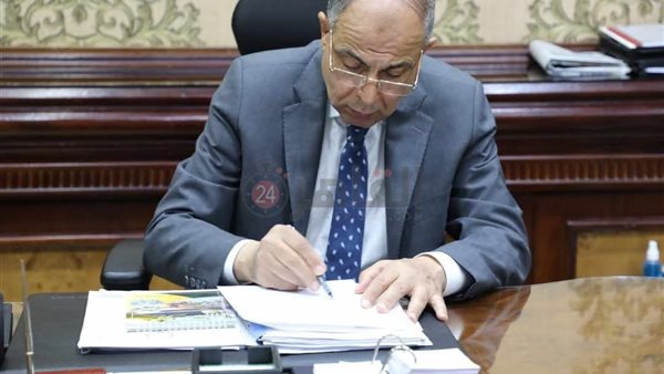 محافظ المنيا