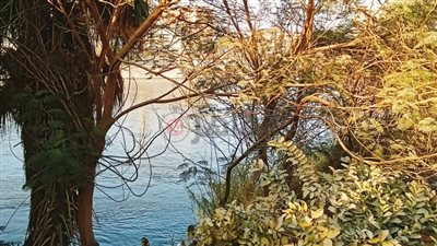 البحث عن جثمان شاب قفز من أعلى كوبري 25 يناير في أسيوط