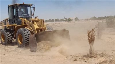 إزالة التعديات من 65 فدانًا وسحب 232 أخرى في الوادي الجديد