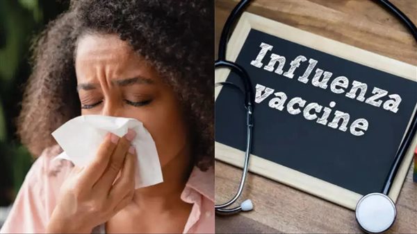 الأنفلونزا 