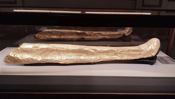  كارتوناج مومياء