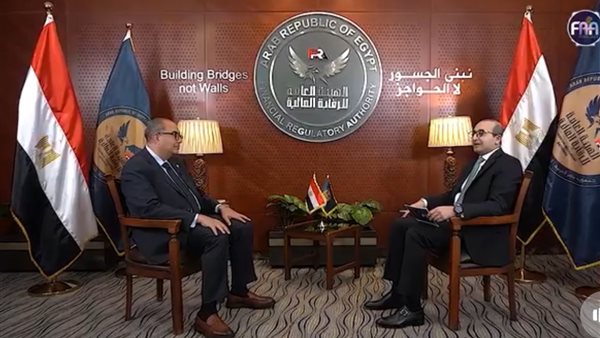 محمود محيي الدين