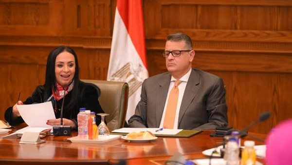 الدكتورة مايا مرسي