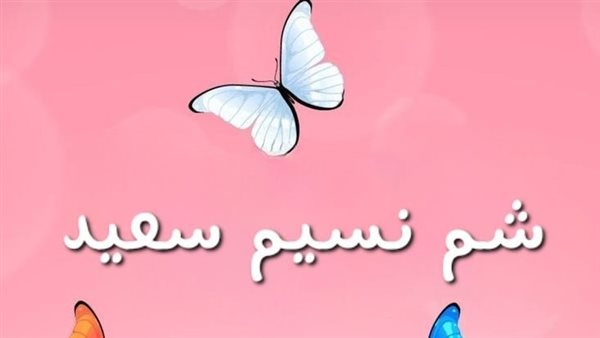 حالات واتس اب شم