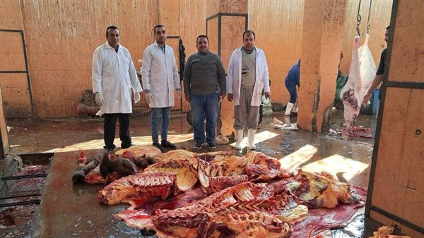 اللحوم المصابة بالسل