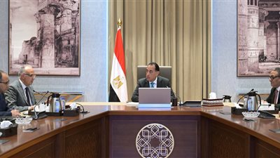 رئيس الوزراء يتابع مع وزير الموارد المائية والري عددًا من ملفات عمل الوزارة