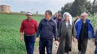 زراعة بورسعيد تبحث مع المزارعين التحديات التي تواجه زراعة القمح وسبل التغلب عليها