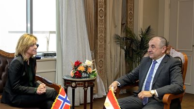 باستثمارات 750 مليون دولار.. وزير قطاع الأعمال يتابع مستجدات مشروع إنشاء محطة للطاقة الشمسية لمصر للألومنيوم