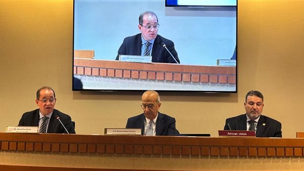  وزير المالية