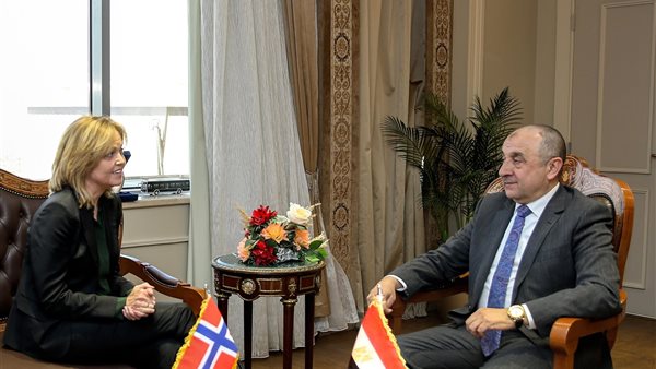 وزير قطاع الأعمال