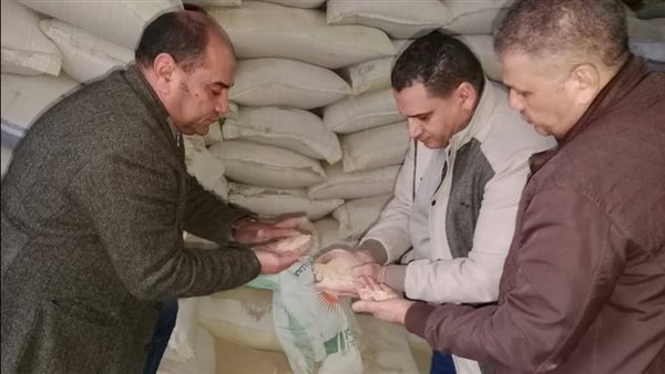 محافظة الجيزة: ضبط