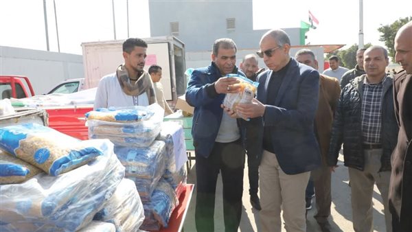 محافظ المنيا