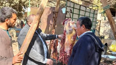 ضبط 722 مخالفة خلال حملات تموينية مكبرة على الأسواق والمخابز بالمنيا