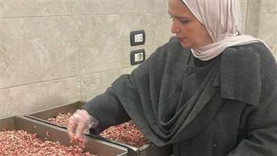  ضبط أكثر من 2 طن لحوم ودواجن غير صالحة للاستهلاك في الدقهلية 