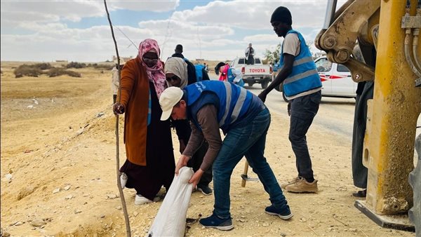 جانب من زراعة الأشجار