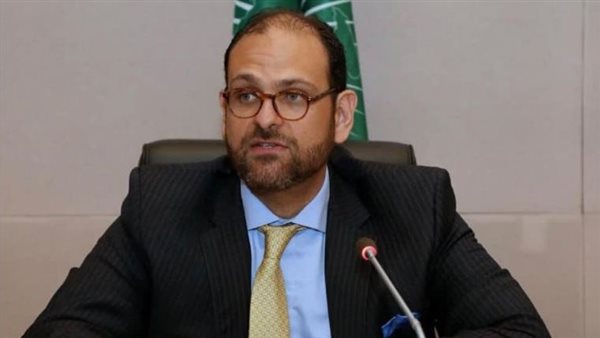 المستشار الدكتور