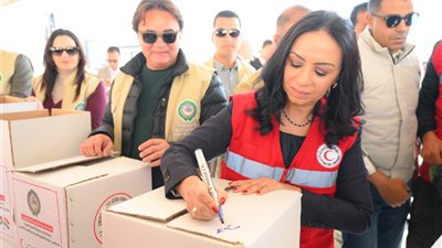 وزيرة التضامن من العريش: مصر صاحبة نصيب الأسد من المساعدات لقطاع غزة بنسبة 70٪؜