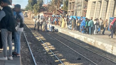 مصرع شخص صدمه قطار بمحطة كوم أمبو بأسوان