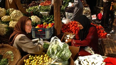 يصل لـ 60%.. تراجع في أسعار البطاطس والطماطم والقلقاس قبل رمضان